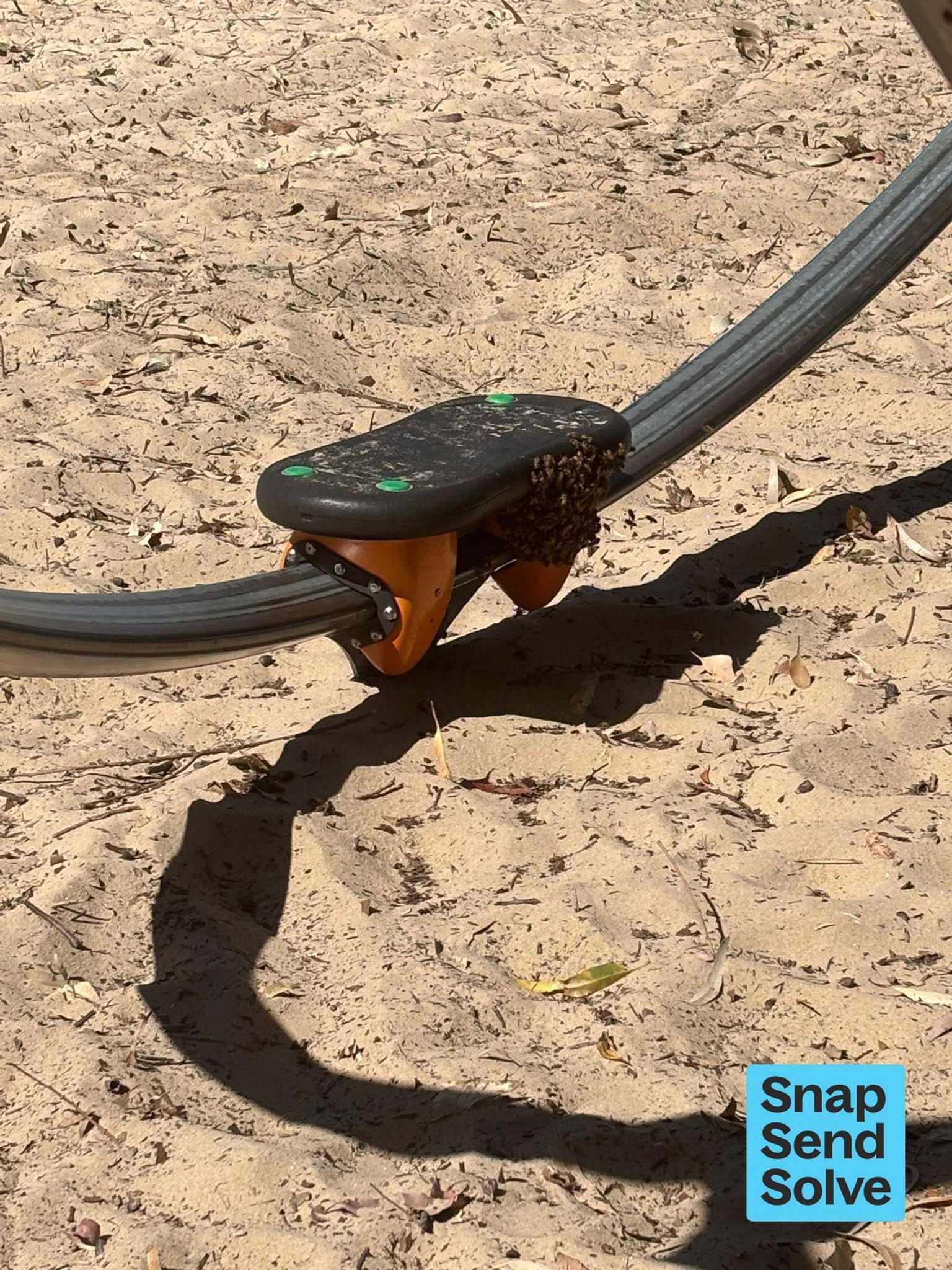 Swarm photo